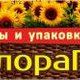 Флорапак - оптовая продажа упаковки для цветов, флористики. Цветы оптом. в Екатеринбурге