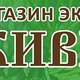 Магазин экотоваров "Живица" в Челябинске