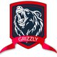 Grizzly - Алмазное оборудование, дрели, коронки в Харькове