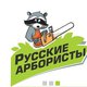 "Русские Арбористы" - арбористика, удаление и обрезка деревьев в Москве